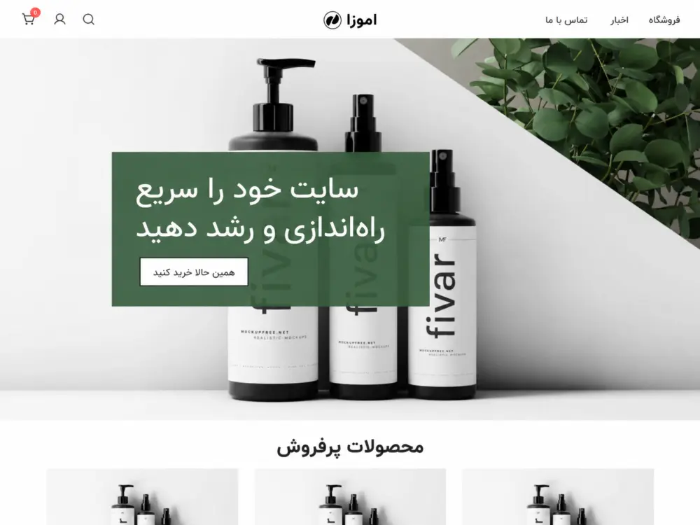 قالب فروشگاهی وردپرس Futurio Storefront